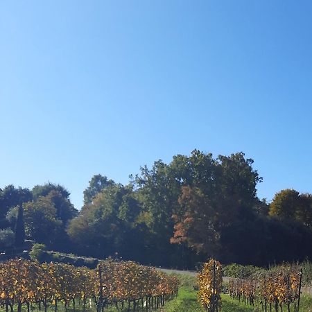 Acero Rosso B&B In Franciacorta エルブスコ エクステリア 写真