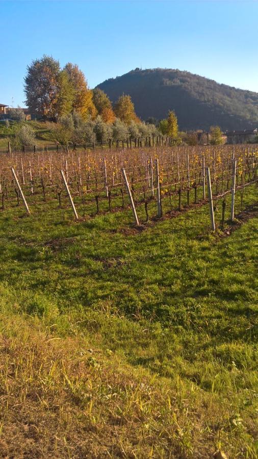 Acero Rosso B&B In Franciacorta エルブスコ エクステリア 写真