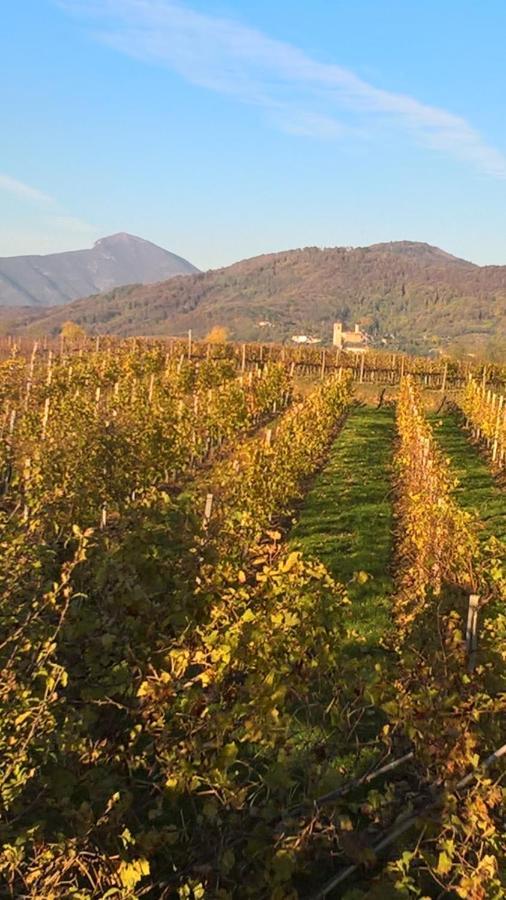 Acero Rosso B&B In Franciacorta エルブスコ エクステリア 写真