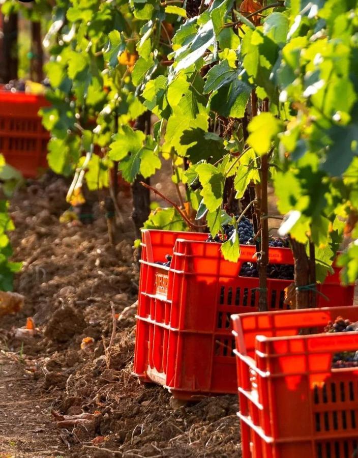 Acero Rosso B&B In Franciacorta エルブスコ エクステリア 写真